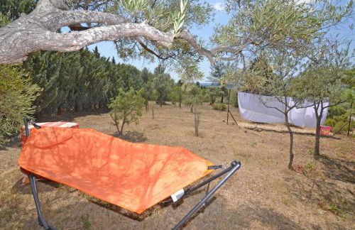 La petite Cigale - Foto 24