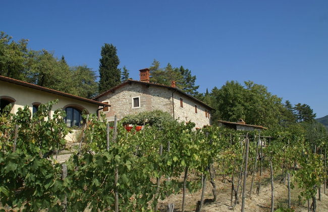 Agriturismo Poggio di Montepescoli - L'aia - Foto 23