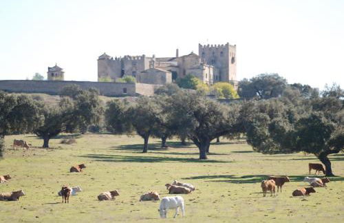 Una semana que tus hijos recordarán toda la vida - Foto 45