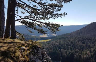 Sonnenhof, Ferienwohnung auf Reitanlage - Foto 46