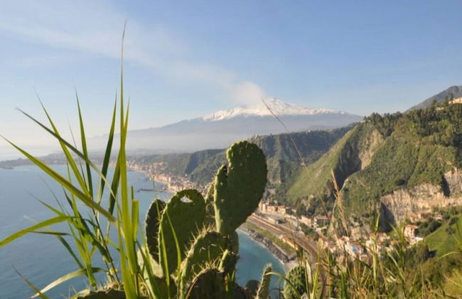 Villa Bonaccorso - La Dimora Immersa Nella Natura ai Piedi Dell Etna - Foto 20