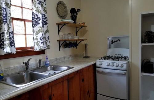 Delightful Waterfront Cabin with Views of Pine Lake near Wellston, Michigan - Foto 3