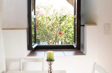 PositiveSpace Olive Tree - Foto 16