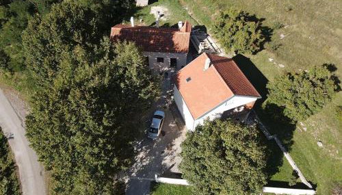 Lika Bearadise - Foto 5