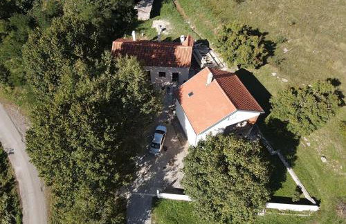 Lika Bearadise - Foto 5