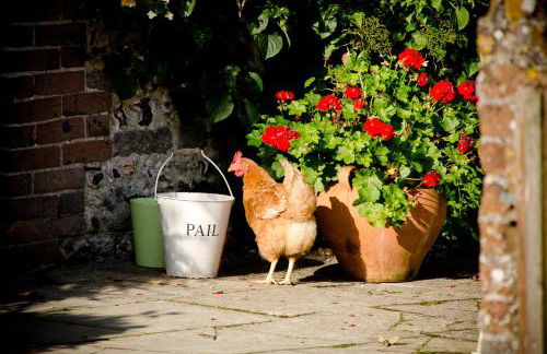 Drakes Cottage - nr Piddletrenthide - Photo 19
