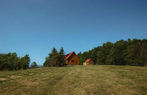 Widokówka Kaszuby - Foto 67