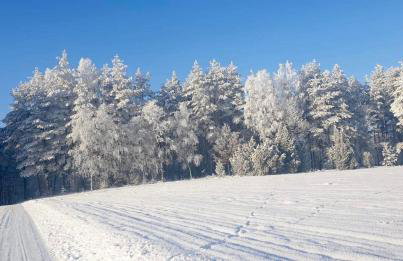 Ostoja Bukowo 12,2 chata u szôłtësa - Foto 33