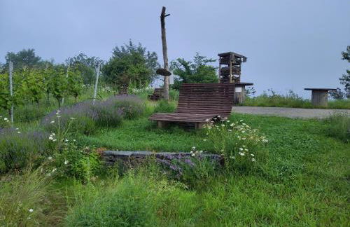 Ti's Herberge - Foto 6