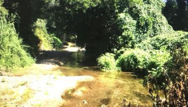 Villa santa karina - Foto 5