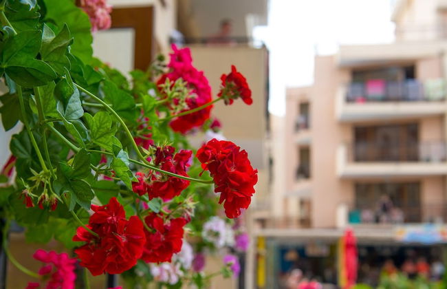 TSB Sunny Victory Apartments - Photo 63