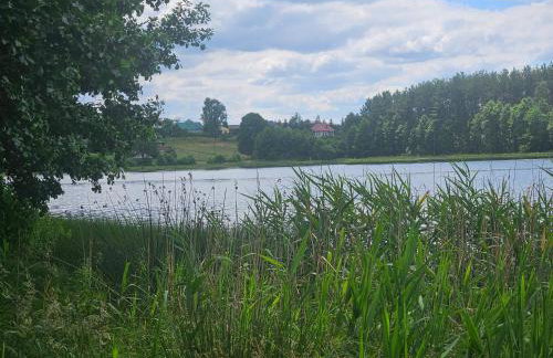 Leśne Wspomnienia - Foto 33