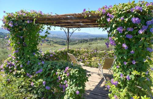 Agriturismo Fattoria Di Maiano - Foto 18