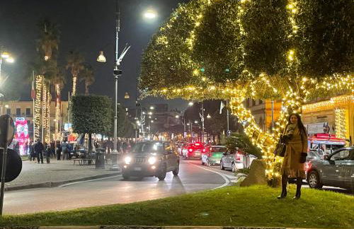 Capri Sky Loft - Photo 17