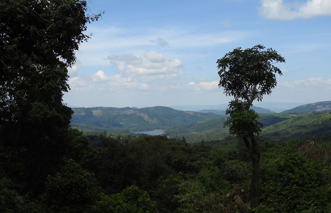 Madrugada Magic - Foto 15