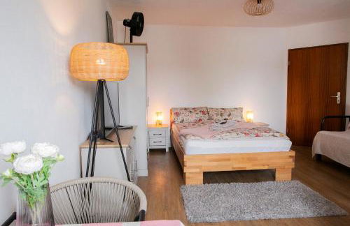 Hans & Franz Zimmervermietung - Foto 33