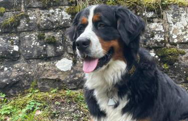 Hemerhof - Ferienwohnungen - Foto 28