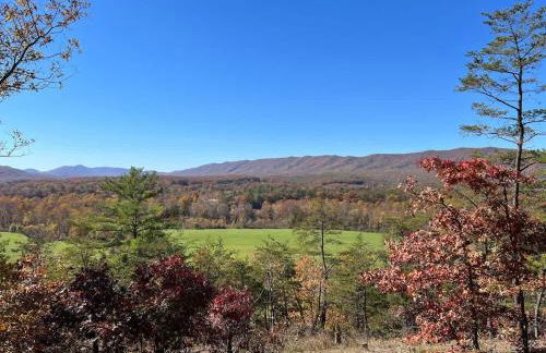 Shenandoah Retreat - Family Home - Foto 64