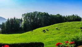 Appartments Neuhof - Foto 4