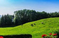 Appartments Neuhof - Photo 4