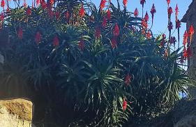 Nordés Casa rural en Lastres entre mar y montaña - Foto 7