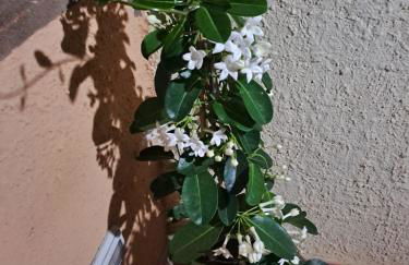 Venus Apartment Villasimius - Foto 43