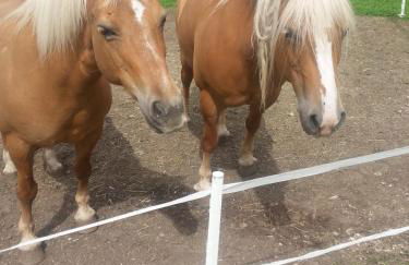 Hölzlhof - Photo 24