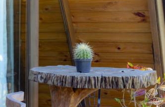 Chale Alcantara Jacuzzi, Lareira e Deck com Vista - Foto 31