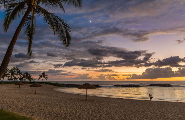 Hale Alii - Photo 21