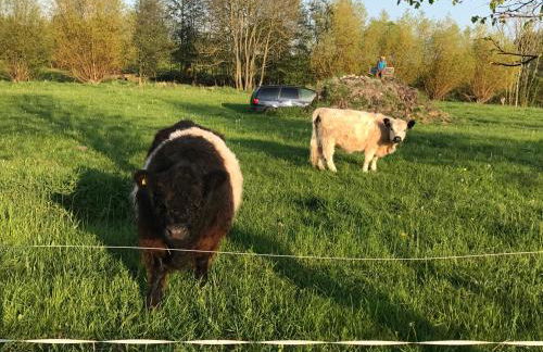 Ferienresidenz am Salzhaff - Foto 53