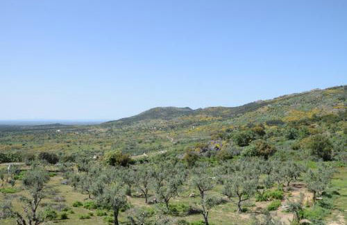 Casa da Paleta - Foto 19