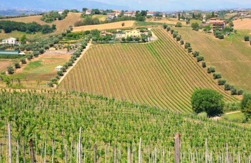 Terra di Ea - Foto 44