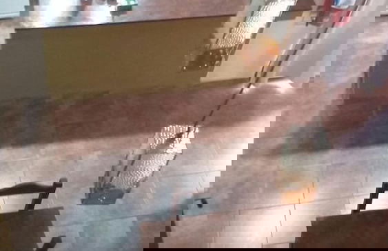 La Divina Pereza - Photo 26