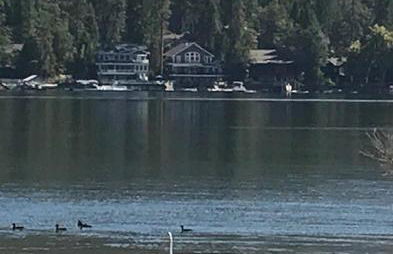 Near Yosemite Bass Lake Cabin with Hot Tub, Lake View, Pet Friendly - Photo 34