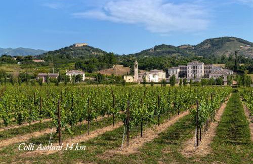 Ca' Viridi - Foto 31