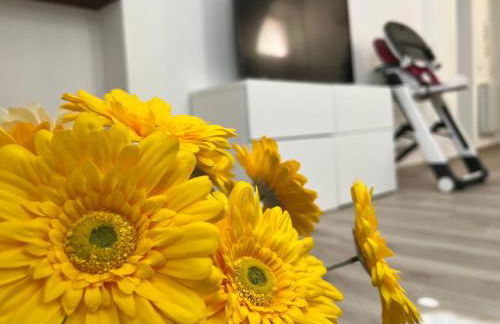 La casa di Ale nel centro storico di Cagliari - Photo 11