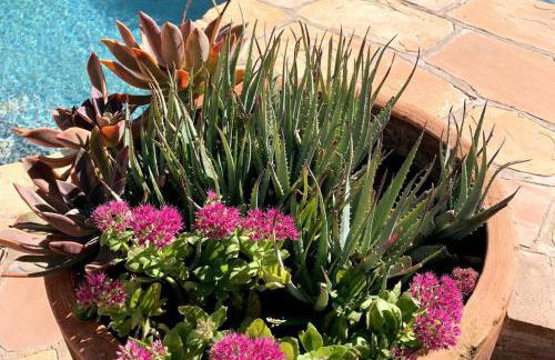 Amazing home with custom-built pool - Foto 28