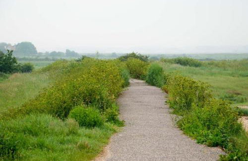 Bromans Barn a beautiful cottage by the Sea and Cudmore Nature Reserve - Foto 19