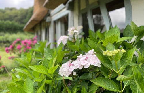 Le Manoir du Perroy - Foto 35