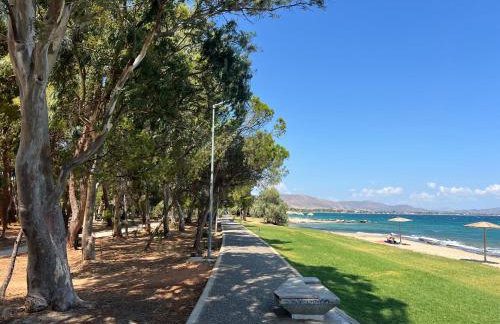 Blue Vision - Foto 18