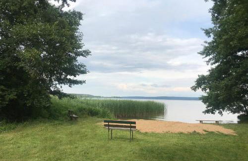 Kugelhaus Kugellager - Besonderer Rückzugsort in runder Bauweise - reduziert, ruhig und naturnah am Tollensesee - Foto 33