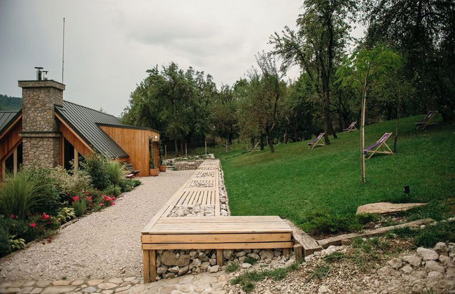 PurpleVague - Photo 31