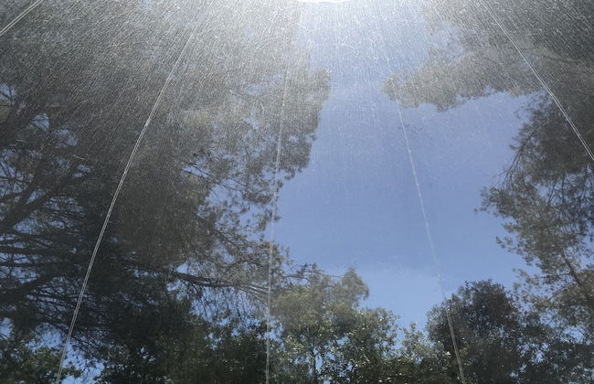 Domaine de la Tuilière - Foto 56