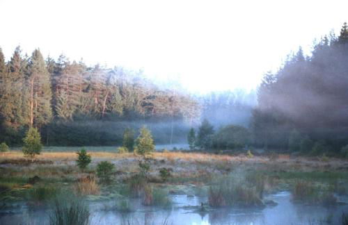 Wellness und Wander Oase Burgwald - Foto 8