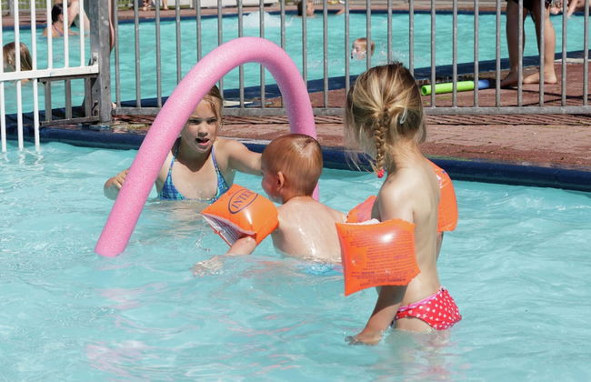 Charming Lodge in Staphorst With Pool Access - Foto 14