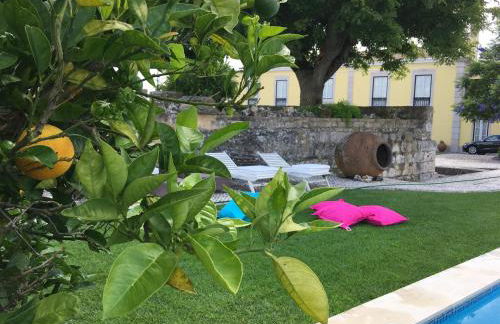 Casa da Alcacova - Santarém - Foto 55