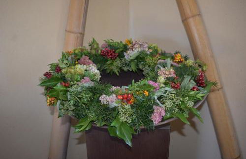 Palmengarten - Foto 9