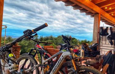 Azienda agricola Panorama - Foto 42