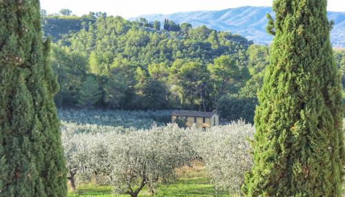 Agriturismo I Getsemani - Photo 5