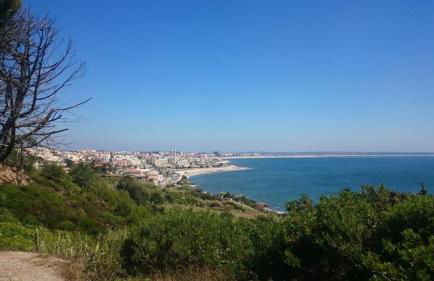 Casa na Floresta - Foto 23